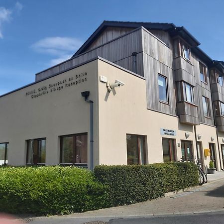 The Quigley Residence Limerick Bagian luar foto